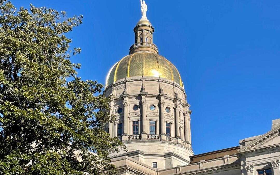 Read about some of the new Georgia laws effective July 2024